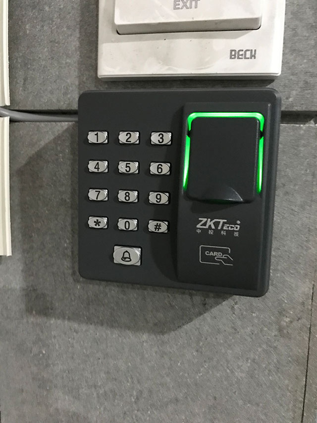Žϵͳ